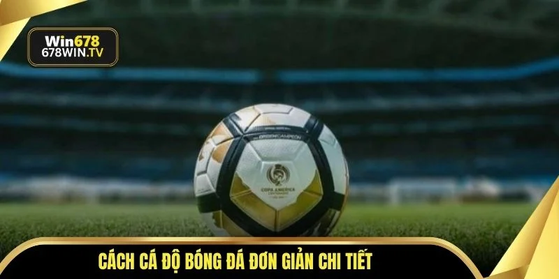 Cách cá độ bóng đá đơn giản chi tiết