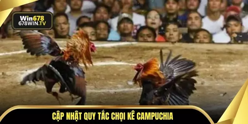 Cập nhật quy tắc chọi kê Campuchia