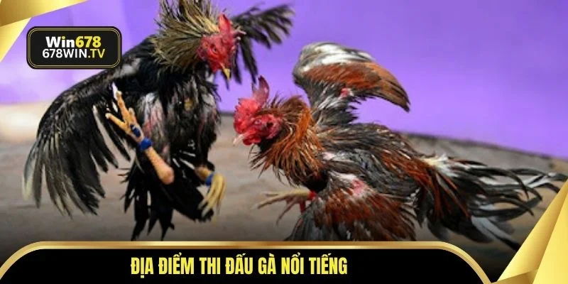 Địa điểm thi đấu gà nổi tiếng